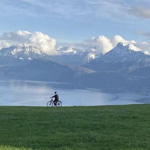 jxcc的最新版本更新内容是什么
